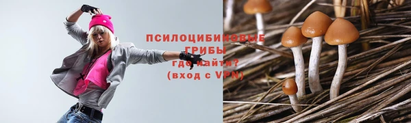 ешки Переславль-Залесский