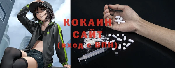 хмурый Пересвет