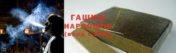 хмурый Пересвет